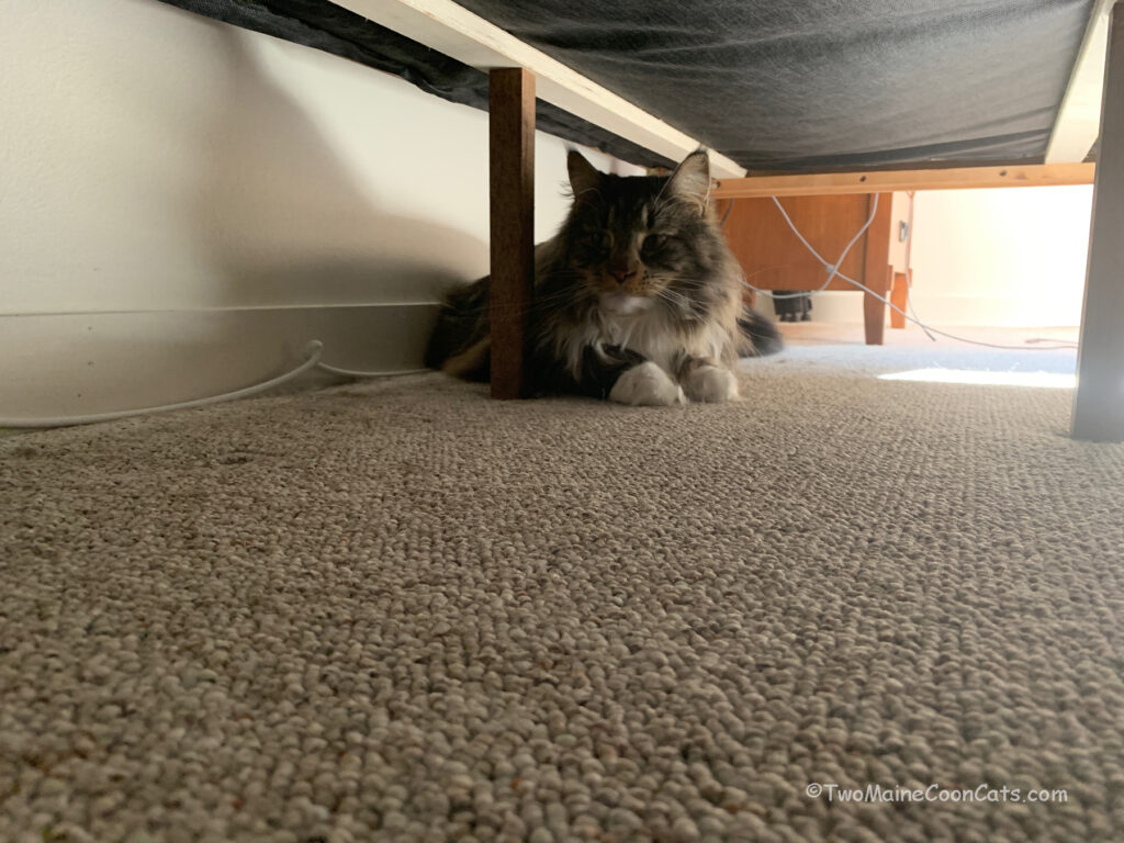 Mr. Tufts analyzes the underside of the bed