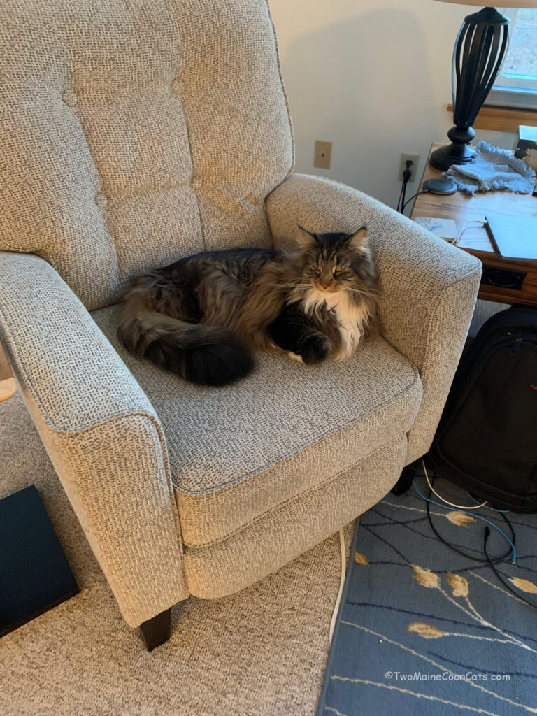 Daddy can have his chair when I’m done with it!!!!