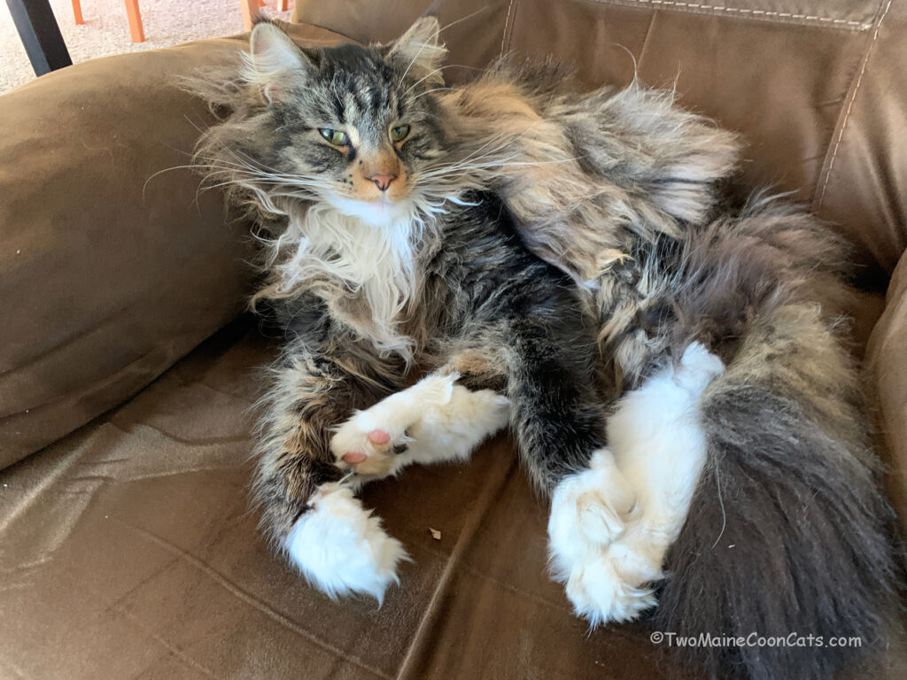 I’m having a bad hair day!!!!