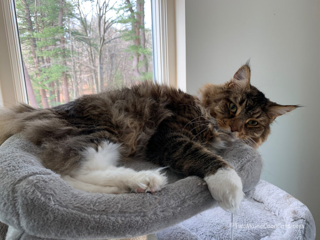 Yes it’s Comfortable . . . Why?