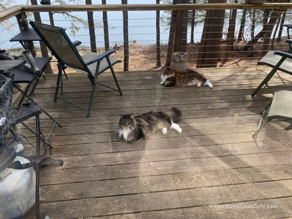 Mr. Bates and Mr. Tufts are Happy to Outside after a Long Winter