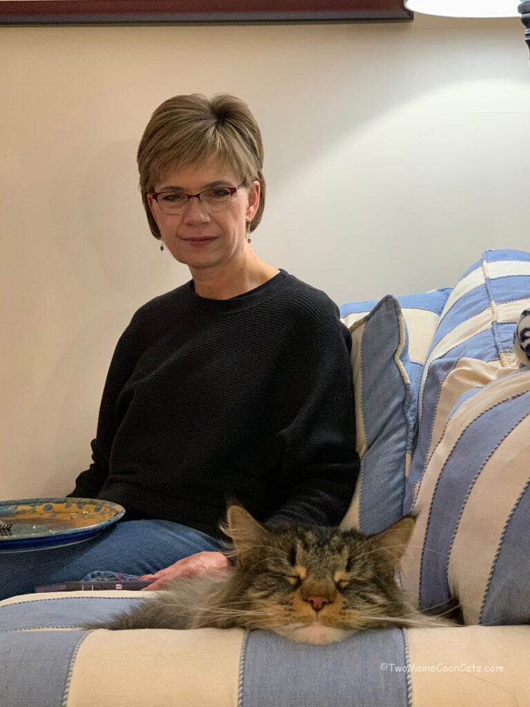 A Cat and His Human