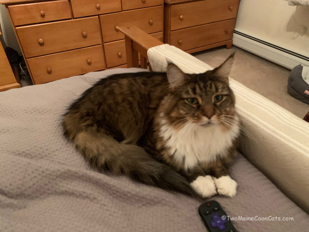 Give me the remote . . . let’s see what else is on