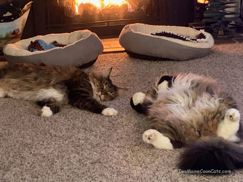Its a tough life
