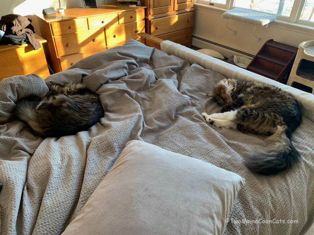 We’re gonna need a bigger bed