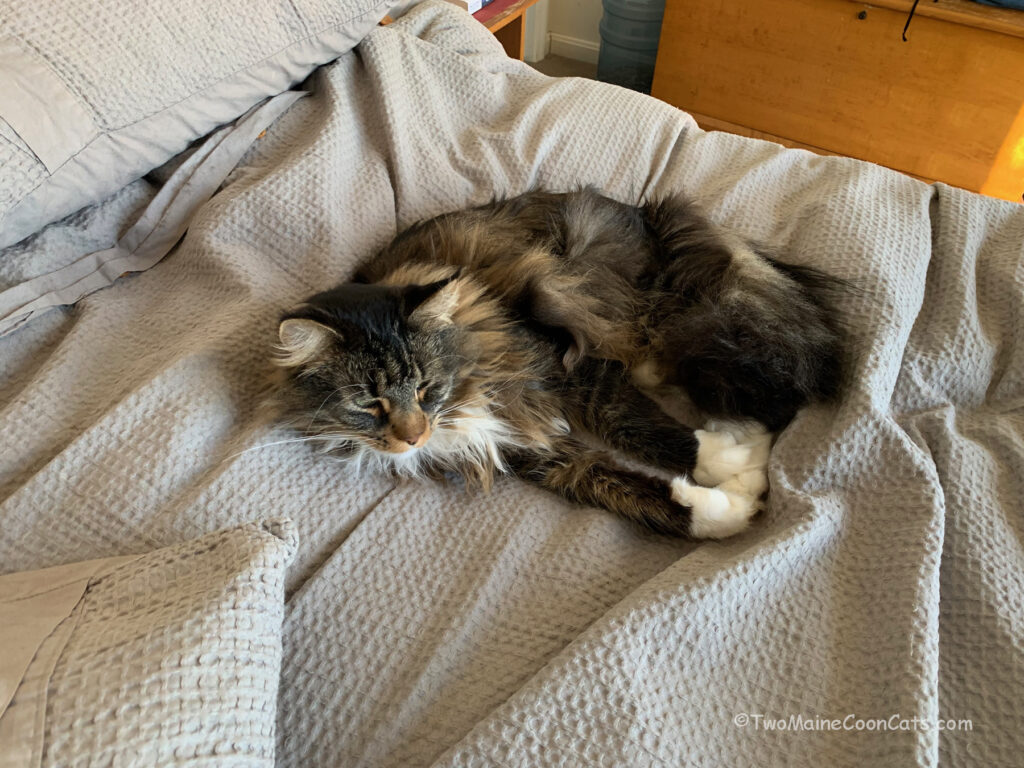 Mr. Tufts is STILL in Bed