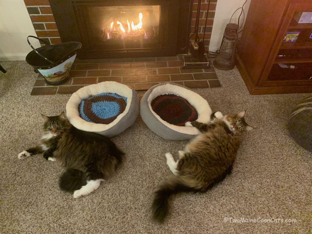 Mr. Tufts and Mr. Bates and their Fireplace Beds