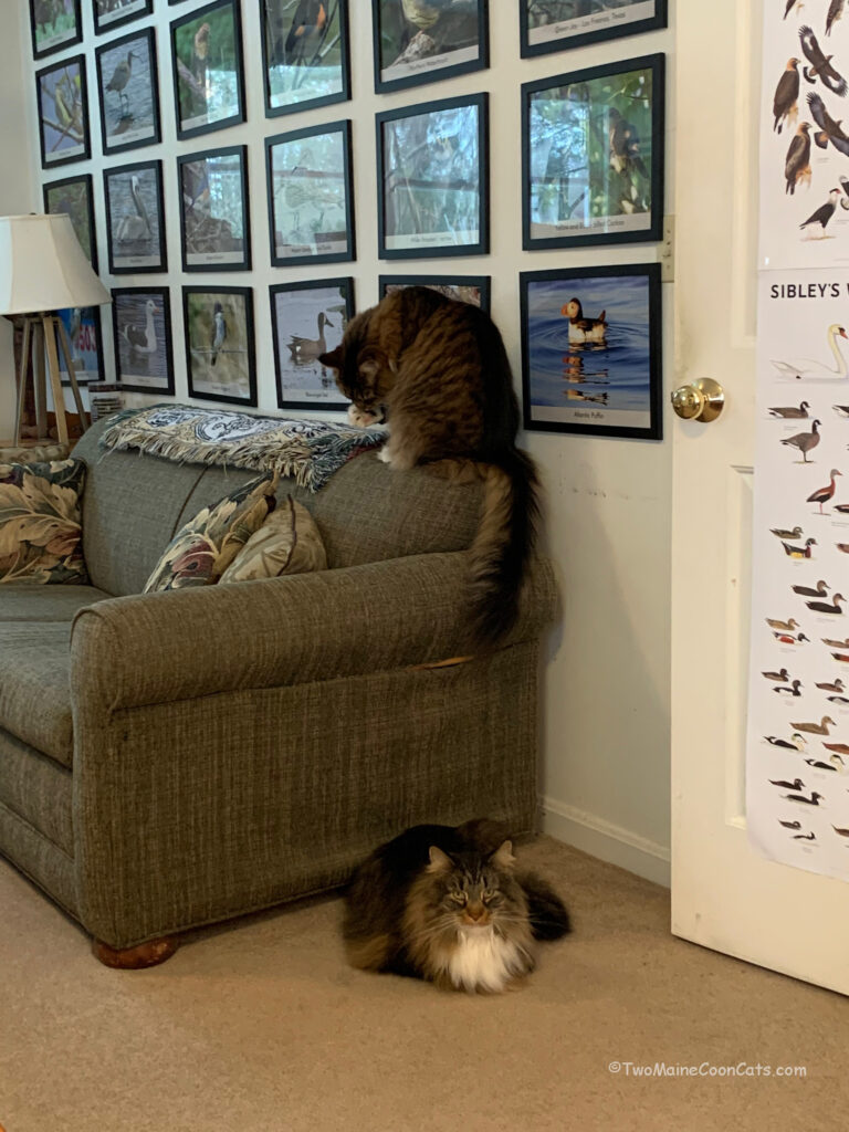 Hanging Out in Dad’s Office