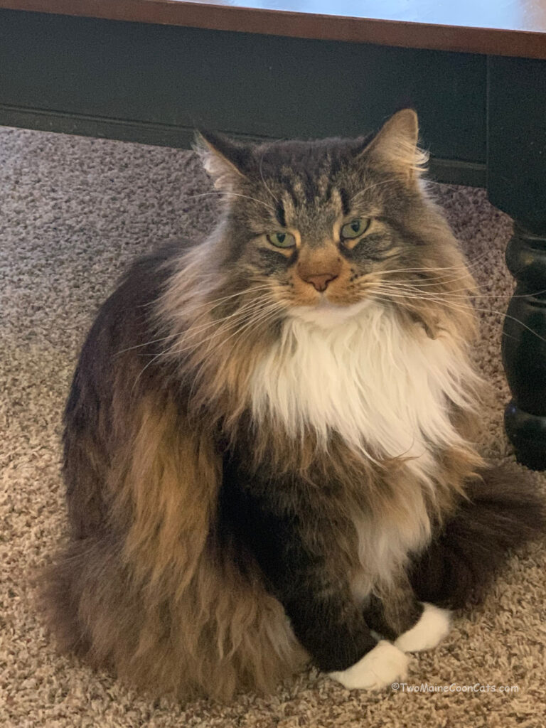 Mr. Tufts waiting for Dinner