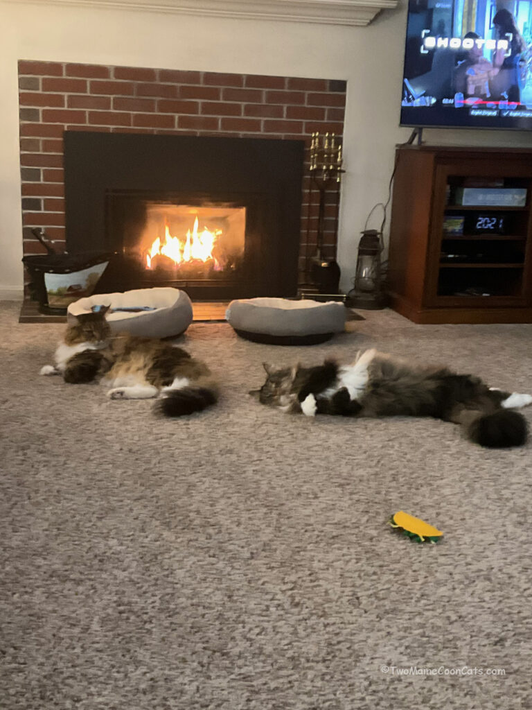 The Boys Watching Shooter on Netflix