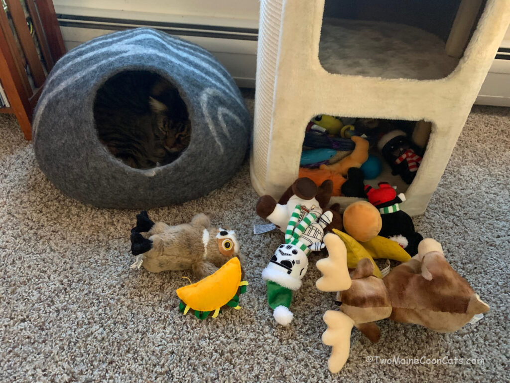 Mr. Bates in the Cave