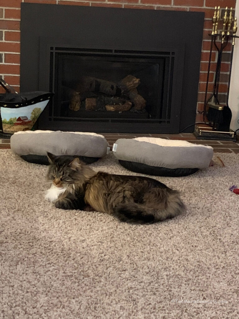 Mr. Tufts Finally Taking a Break