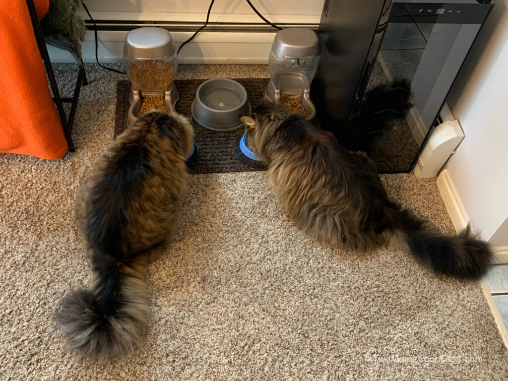 They were “STARVING”