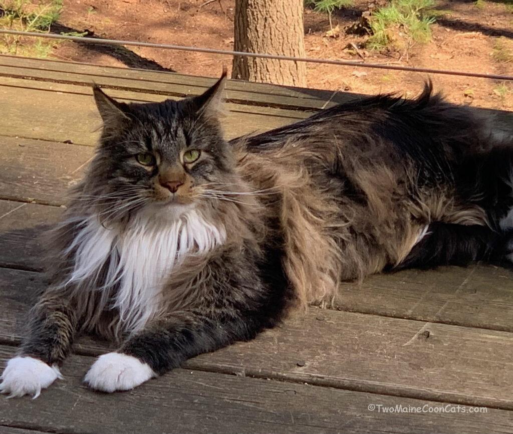 Mr. Tufts on the Deck