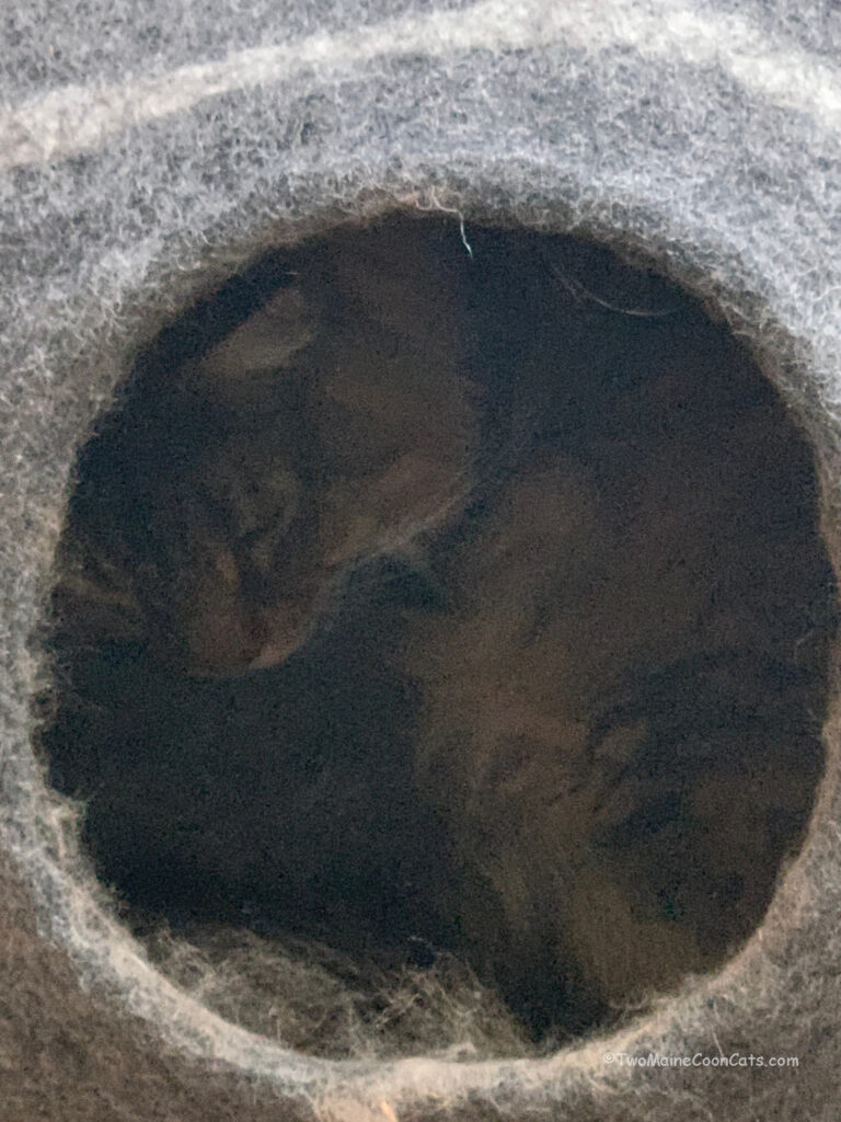 Mr. Bates in his Cave