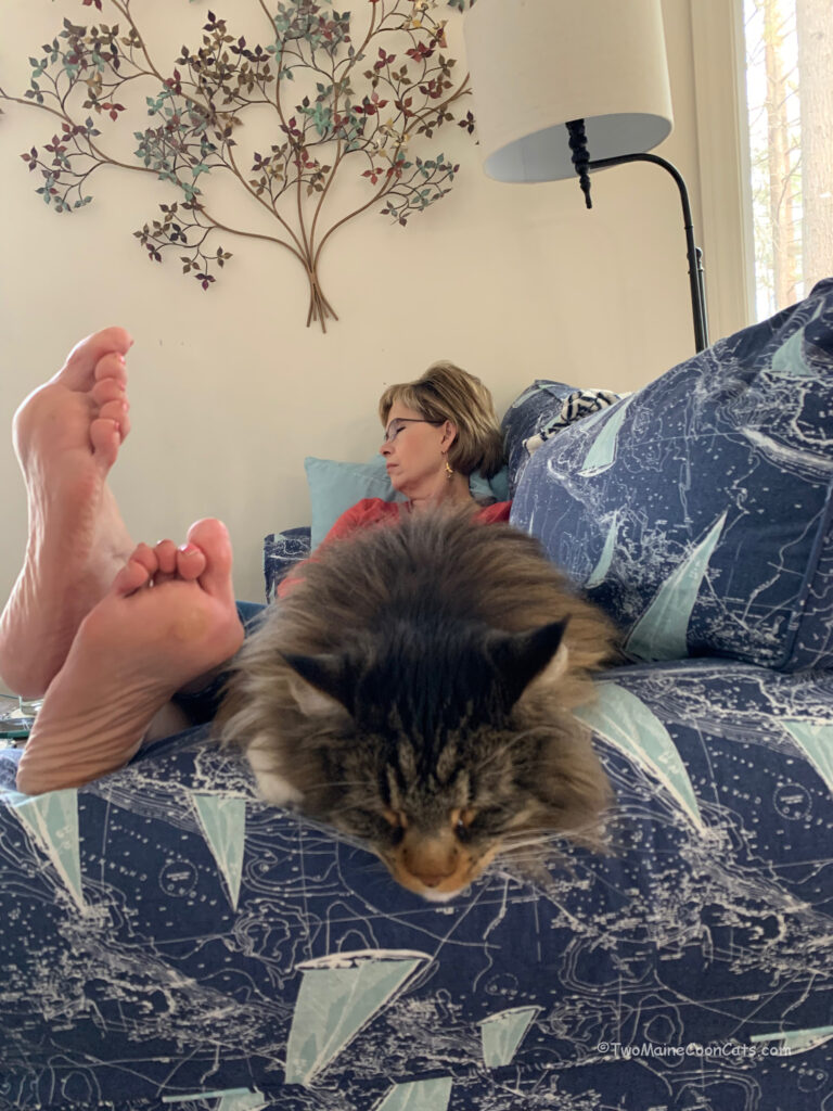 An Exhausting Day