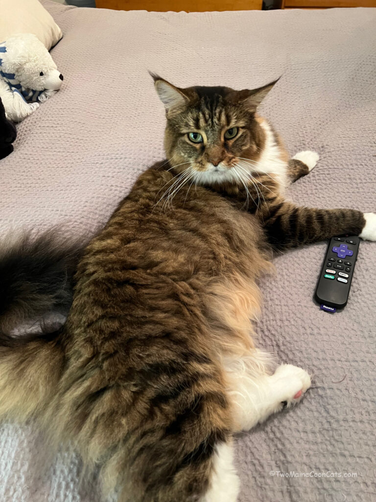 Bates controls the Remote