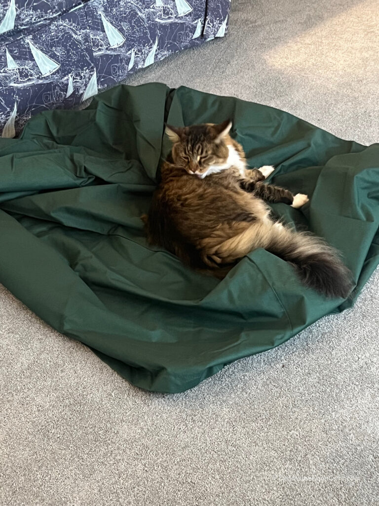Mr. Bates inspect the new outdoor furniture covers