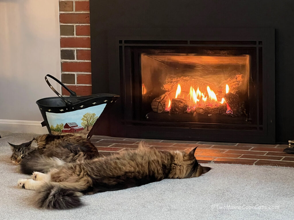 Having solved the problems of the world, the boys take a well deserved rest
