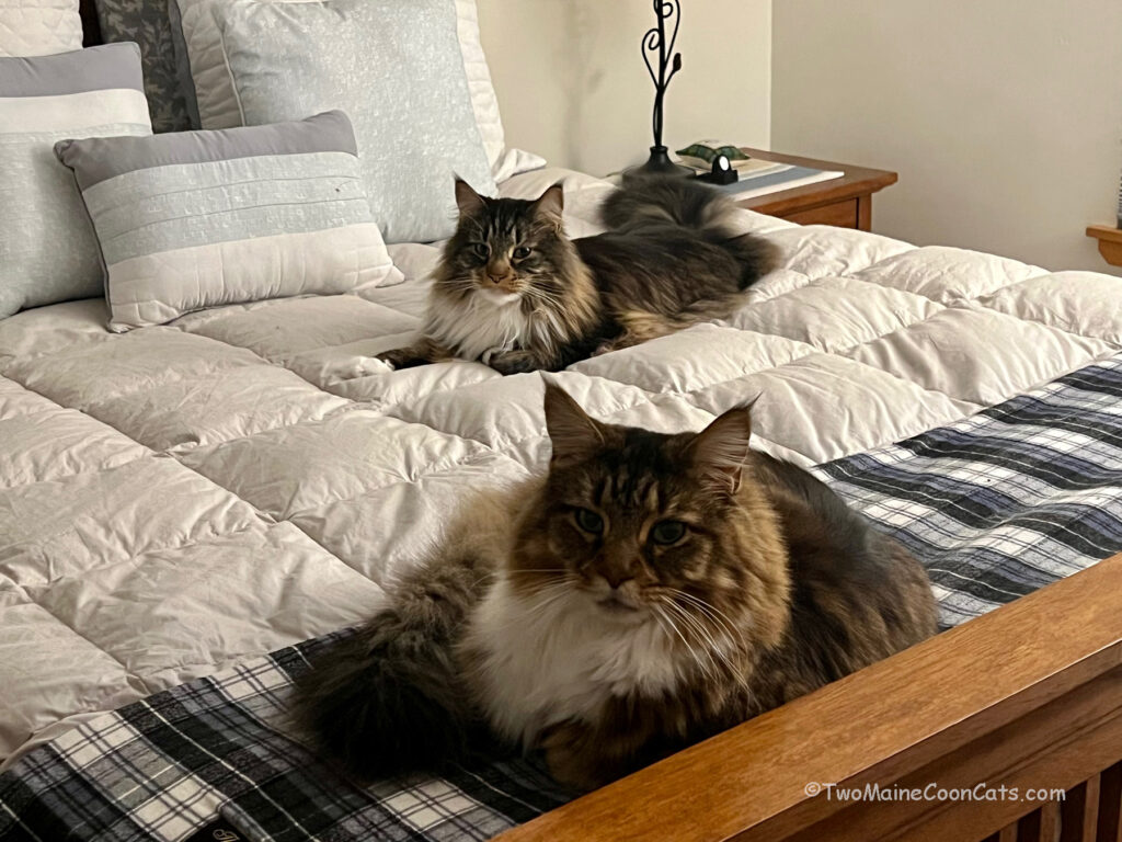 We think Mr. Bates and Mr. Tufts are Gorgeous