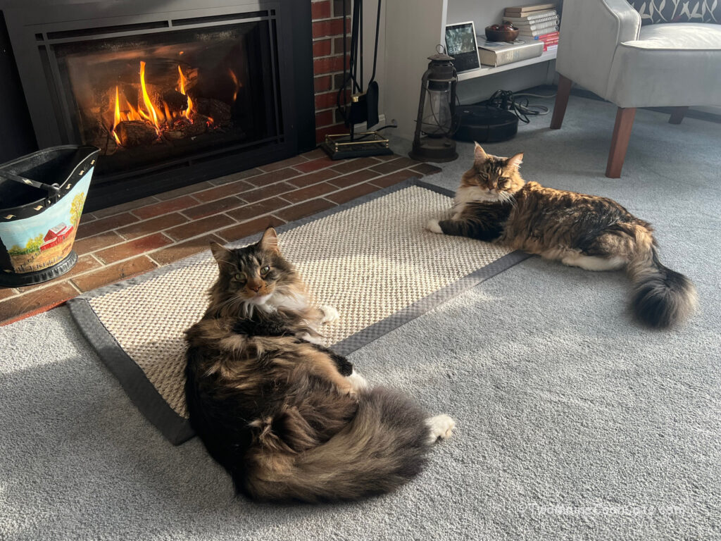 What did we do now?