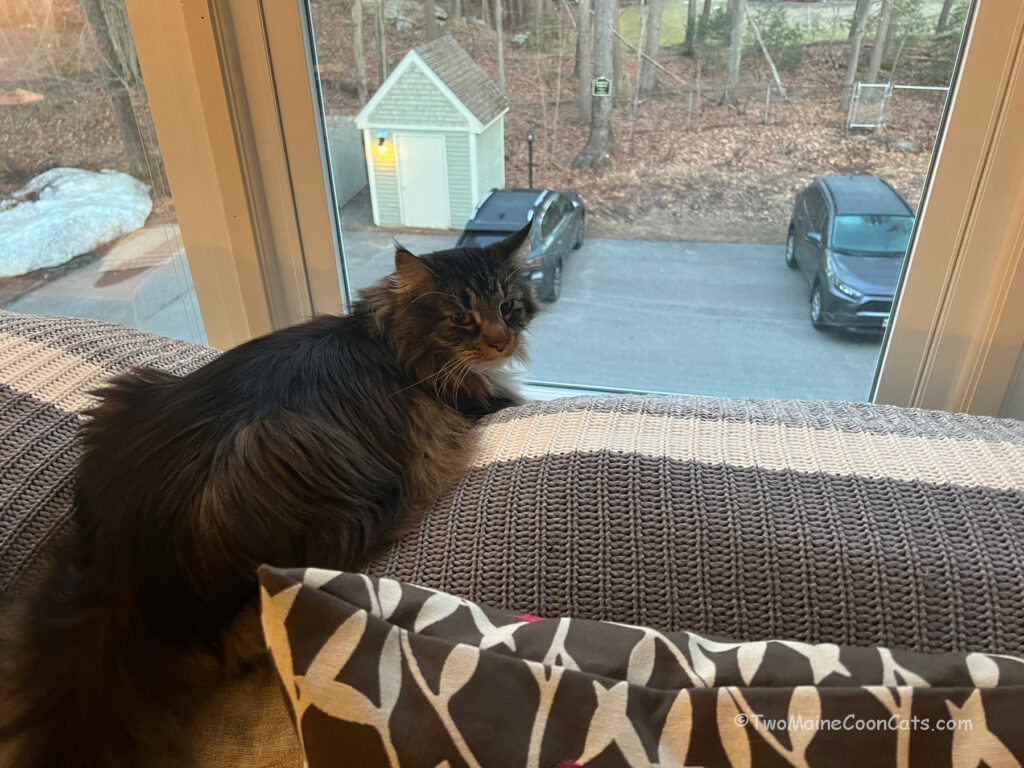 Mr. Tufts – Commander of the Neighborhood Watch