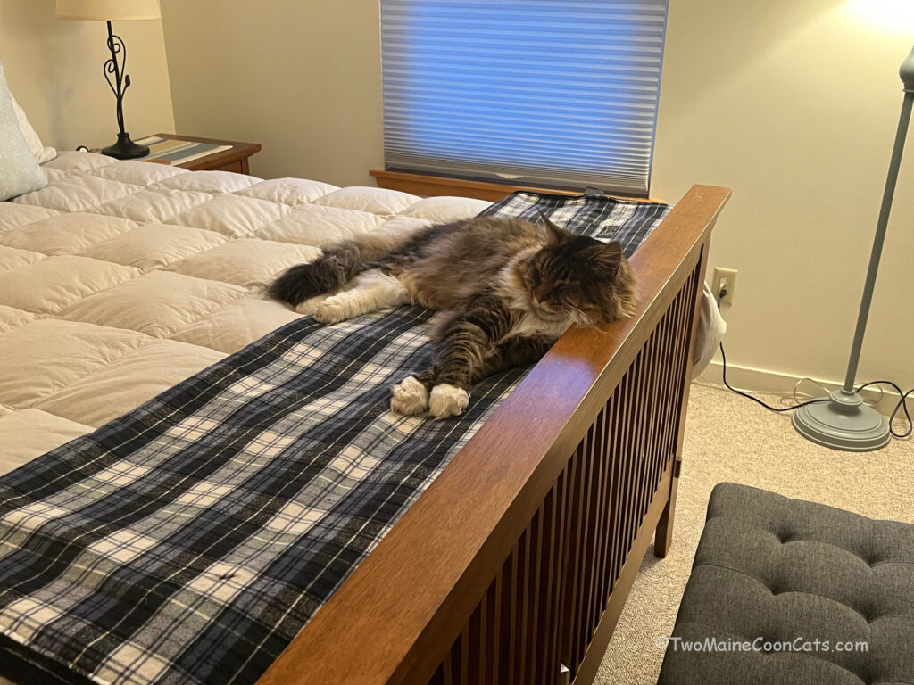 Mom made the Bed Nicely . . . just for me!!!