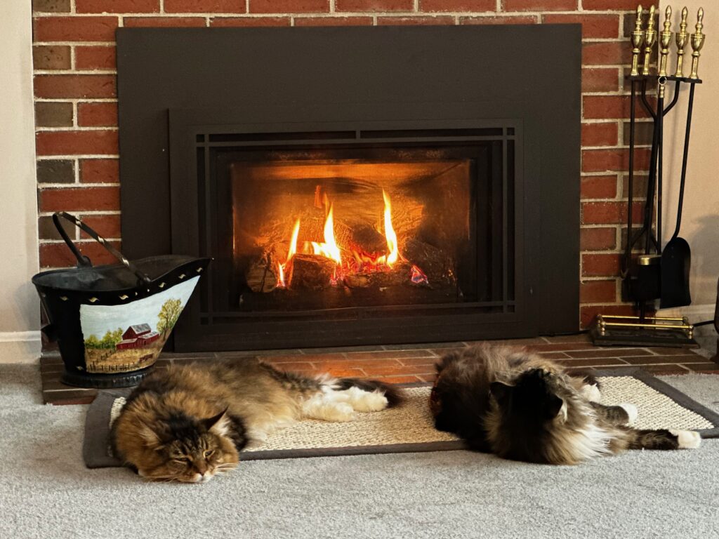 It’s a beautiful day outside . . . let us nap by the fire